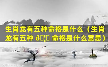 生肖龙有五种命格是什么（生肖龙有五种 🦅 命格是什么意思）